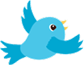 bird_image